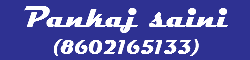 Pankaj saini
(8602165133)
