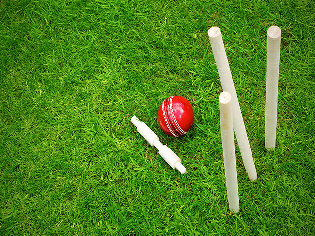 Cricket